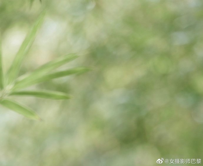 白蛇：缘起